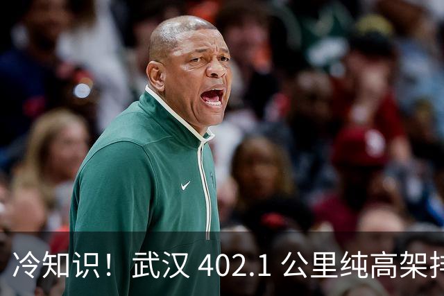 冷知识！武汉 402.1 公里纯高架排全国第三读懂江城基建力量